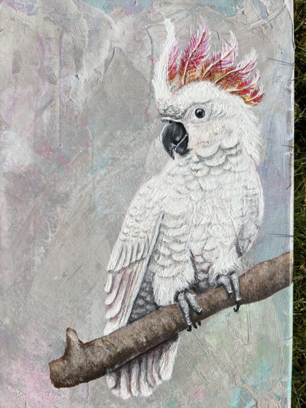 Featherlight - Image 2